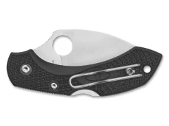 Best Spyderco Dragonfly 2 Wharncliff