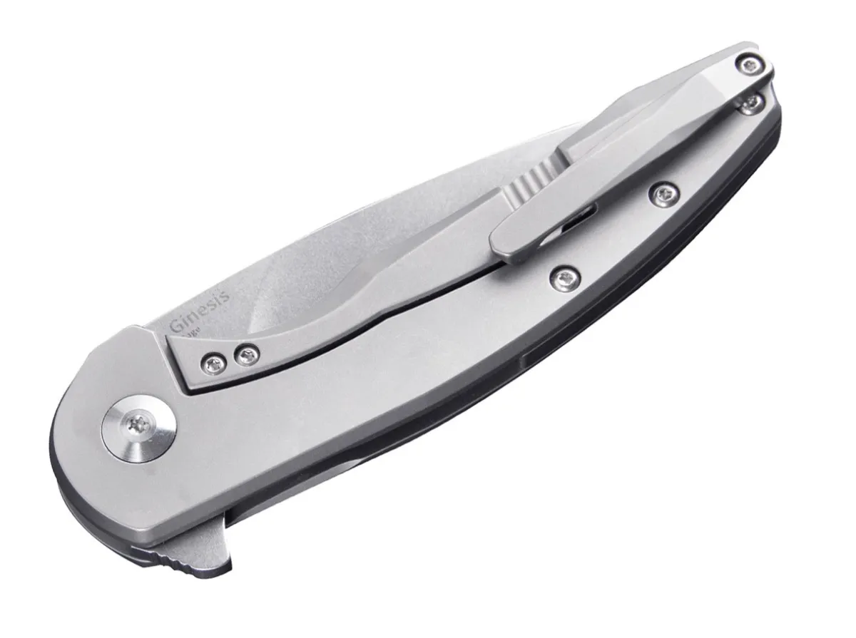 Online Kizer Ginesis