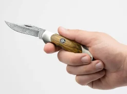 Online Böker Manufaktur Solingen Junior Scout Curly Birch Brown Damascus