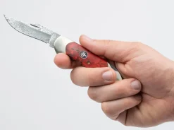 Online Böker Manufaktur Solingen Junior Scout Curly Birch Red Damascus