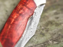 Online Böker Manufaktur Solingen Junior Scout Curly Birch Red Damascus