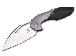 Online Kizer Megatherium
